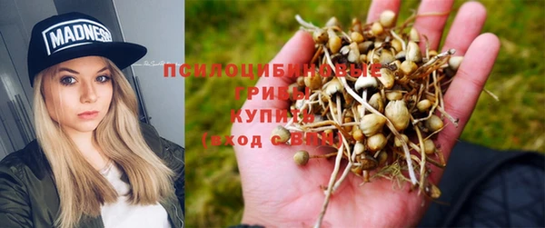 метадон Алзамай