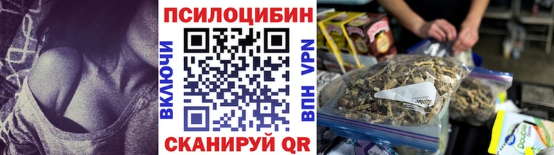 закладка Нюрба Галлюциногенные грибы Psilocybe