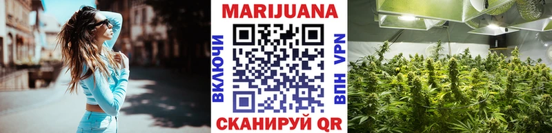 как найти   Нюрба  Канабис Ganja 